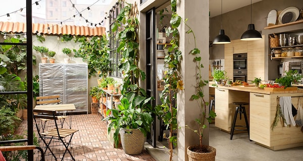 Ikea ogród – masa inspiracji ogrodowych
