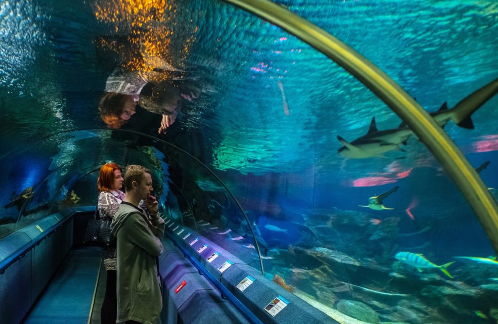 Oceanarium Afrykarium Wrocław – atrakcje i ceny